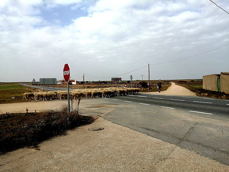 Aldeanueva del Codonal, Segovia