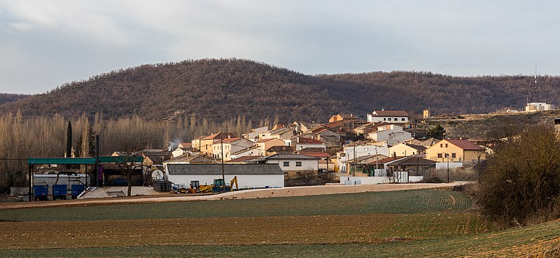 Cogollor, Guadalajara