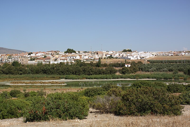 Fuente de Piedra, Málaga