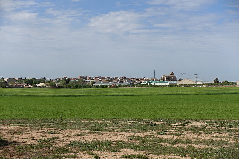 La Alberca de Záncara, Cuenca