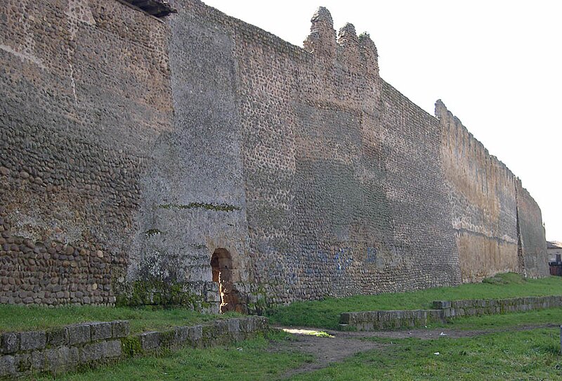 Mansilla de las Mulas, León
