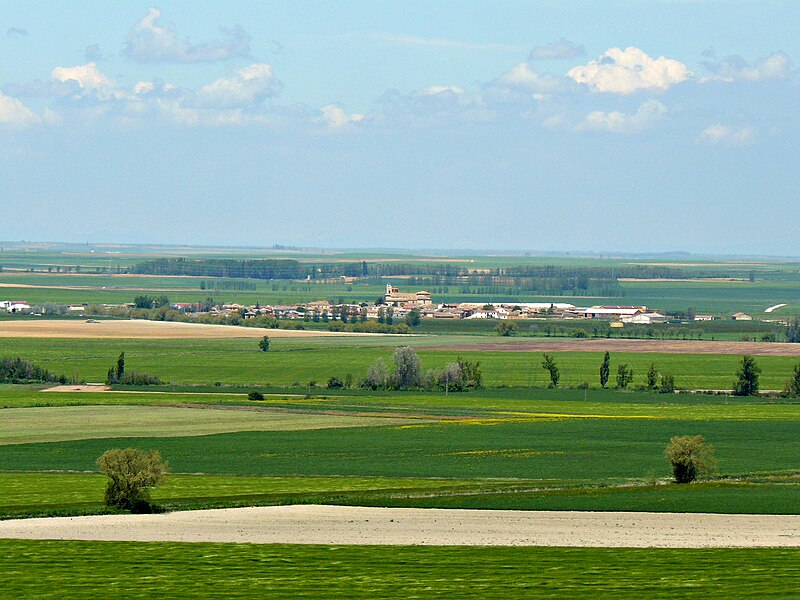 Meneses de Campos, Palencia