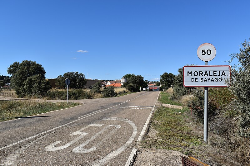 Moraleja de Sayago, Zamora