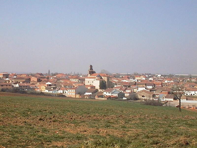 Morales del Vino, Zamora