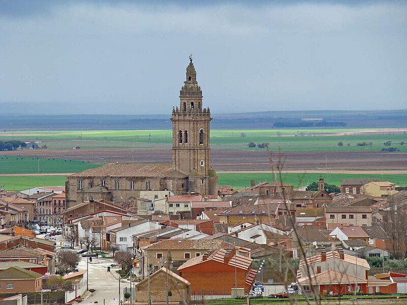 Nava del Rey, Valladolid