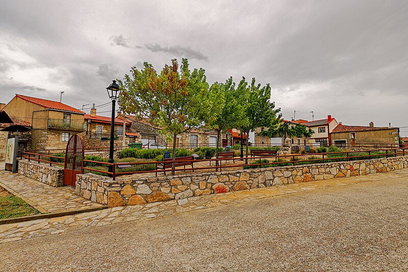 Pino del Oro, Zamora