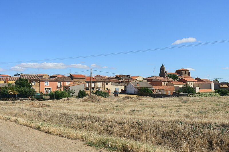 Prado, Zamora