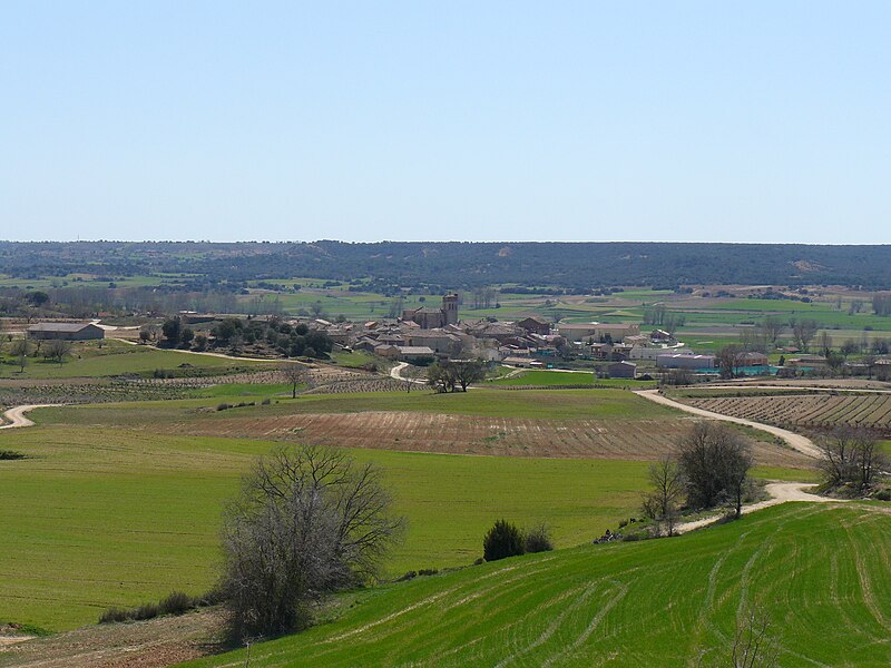 Quintana del Pidio, Burgos