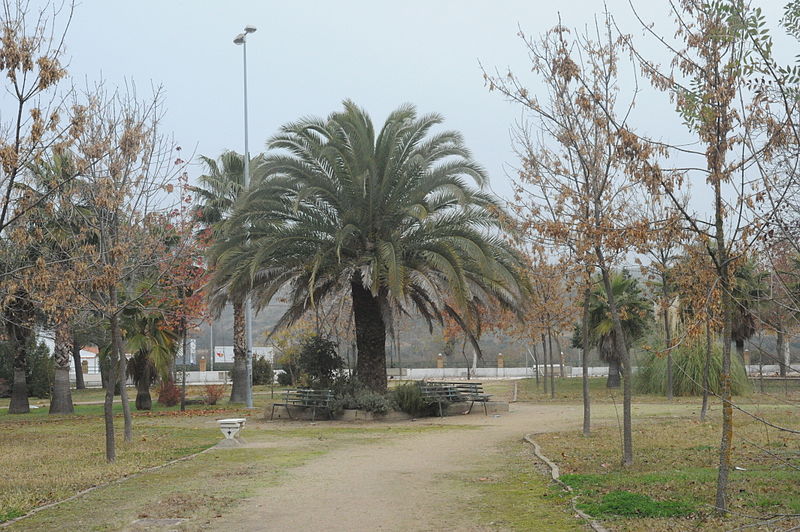 Riolobos, Cáceres