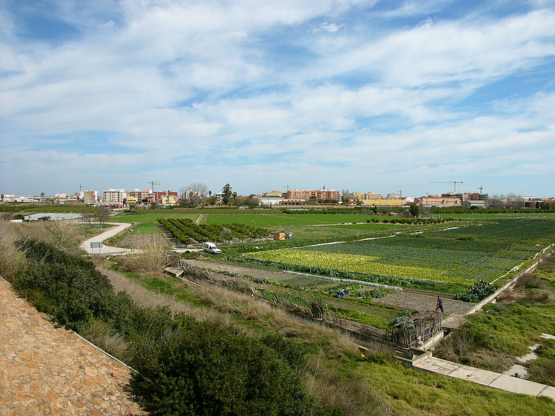 Sollana, València/Valencia