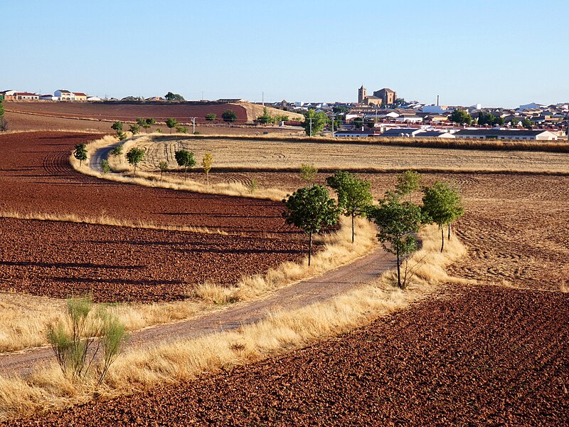 Torre de Juan Abad, Ciudad Real
