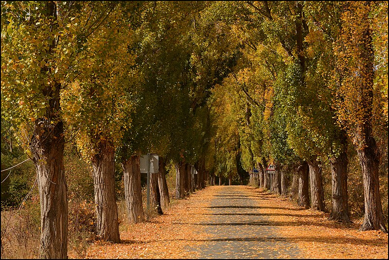 Villar del Río, Soria
