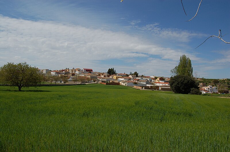 Villaverde y Pasaconsol, Cuenca